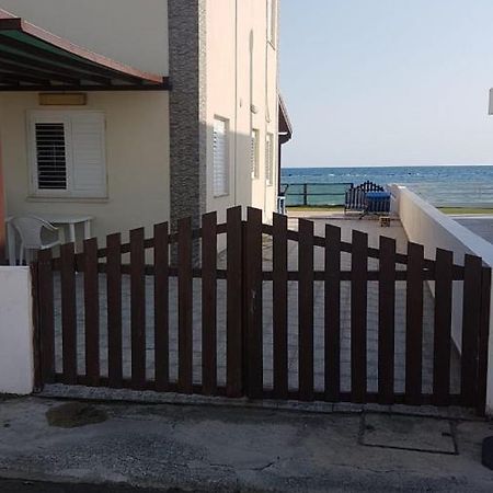 Panorama Beach House, 5 Meters To The Sea 皮尔瓦利亚 外观 照片