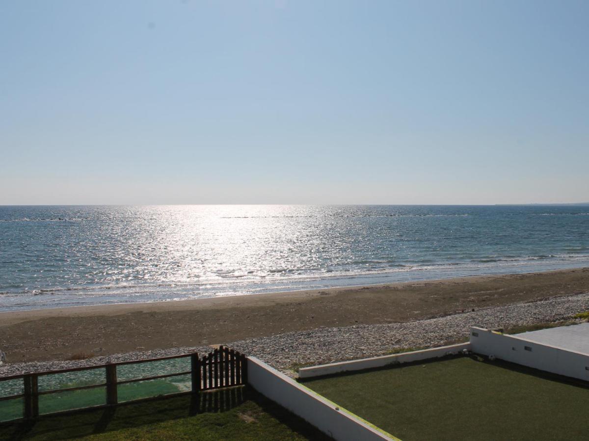 Panorama Beach House, 5 Meters To The Sea 皮尔瓦利亚 外观 照片