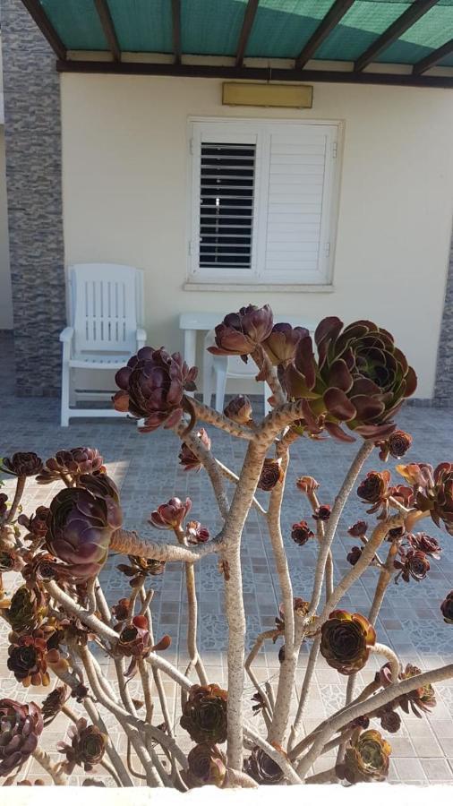 Panorama Beach House, 5 Meters To The Sea 皮尔瓦利亚 外观 照片